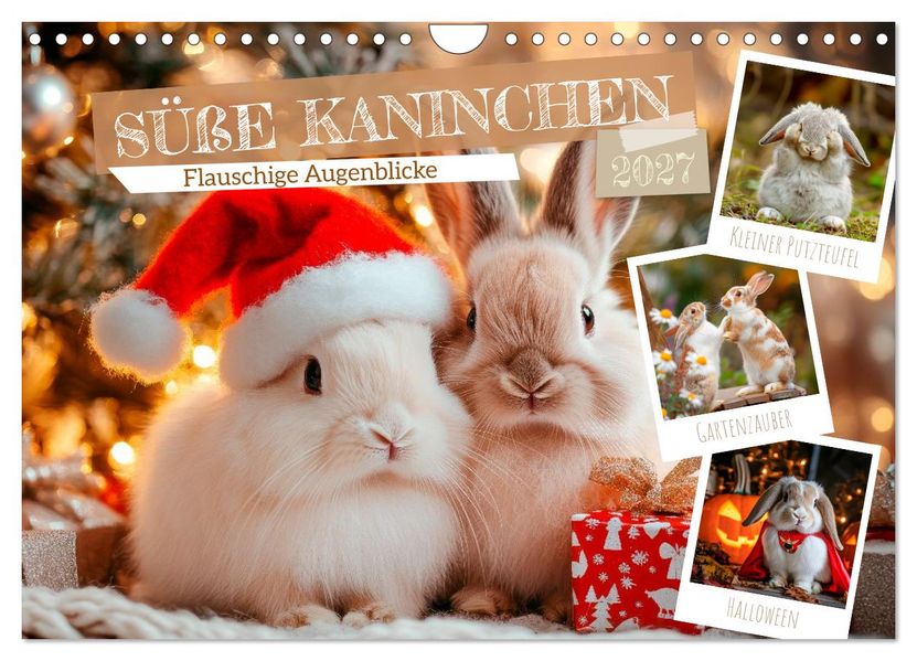 Süße Kaninchen - Flauschige Augenblicke (Wandkalender 2027 DIN A4 quer) CALVENDO Monatskalender