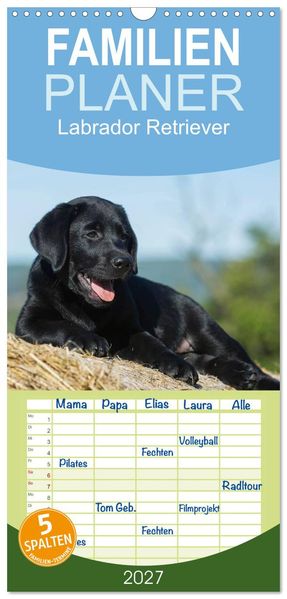 Familienplaner 2027 - Labrador Retriever 2027 mit 5 Spalten (Wandkalender 21 x 45 cm) CALVENDO