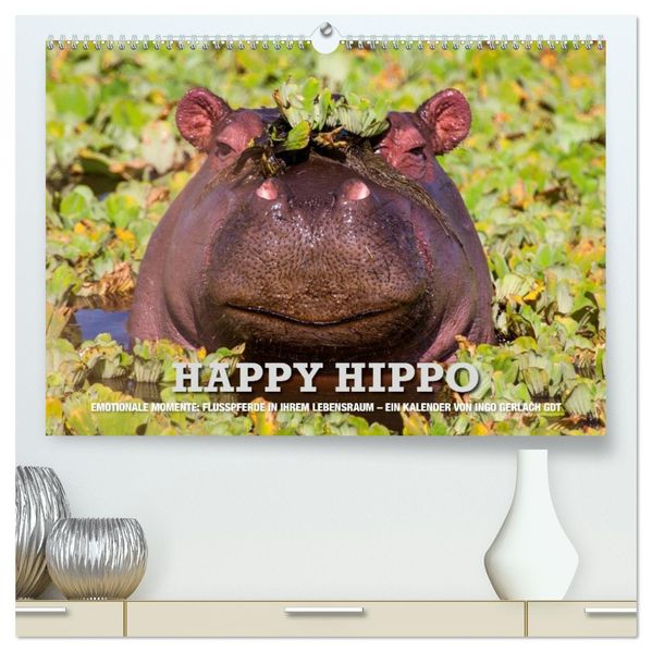 Emotionale Momente. Happy Hippo / CH-Version (hochwertiger Premium Wandkalender 2027 DIN A2 quer) Kunstdruck in Hochglanz