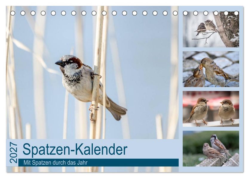 Spatzen-Kalender (Tischkalender 2027 DIN A5 quer) CALVENDO Monatskalender