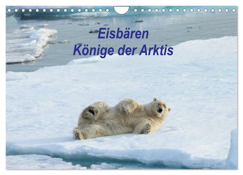 Eisbären - Könige der Arktis (Wandkalender 2027 DIN A4 quer) CALVENDO Monatskalender