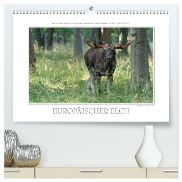 Emotionale Momente: Europäischer Elch. / CH-Version (hochwertiger Premium Wandkalender 2027 DIN A2 quer) Kunstdruck in Hochglanz
