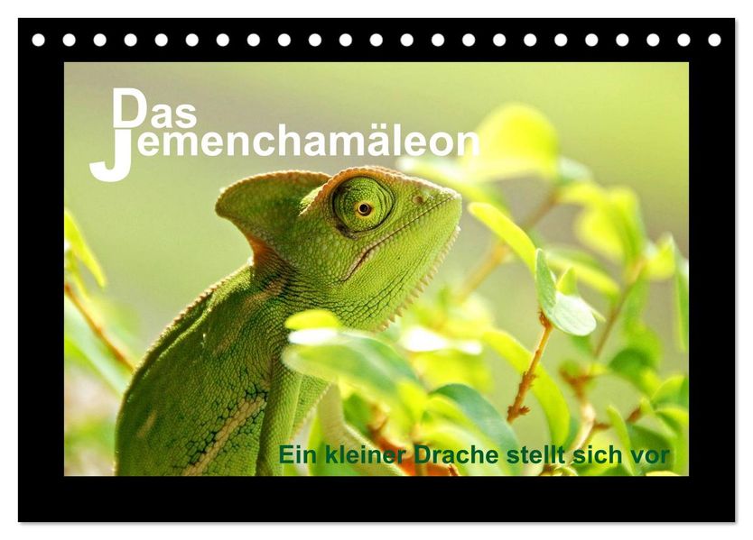 Das Jemenchamäleon (Tischkalender 2027 DIN A5 quer) CALVENDO Monatskalender