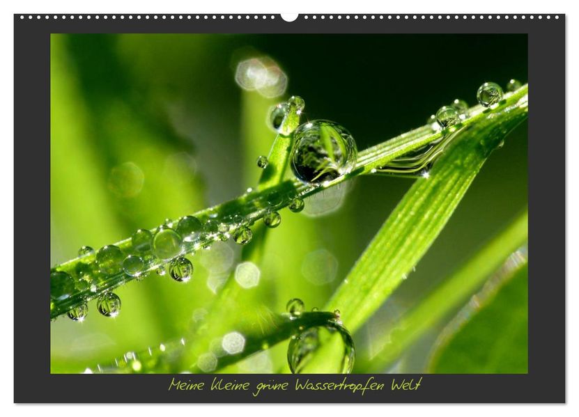 Meine kleine grüne Wassertropfen Welt (Wandkalender 2027 DIN A2 quer) CALVENDO Monatskalender
