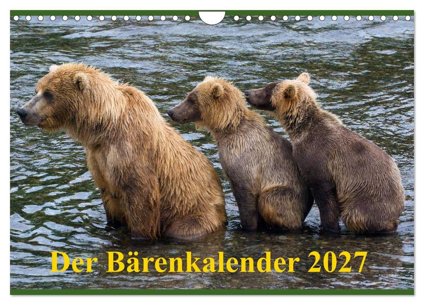 Der Bärenkalender 2027 CH-Version (Wandkalender 2027 DIN A4 quer) CALVENDO Monatskalender