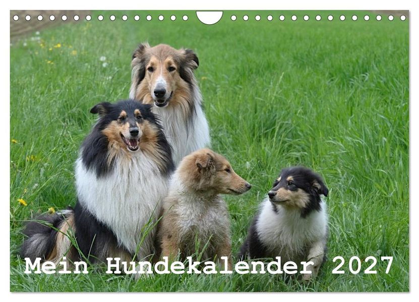 Mein Hundekalender 2027 (Wandkalender 2027 DIN A4 quer) CALVENDO Monatskalender