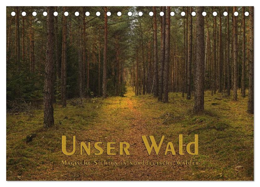 Unser Wald - Magische Sichten in norddeutsche Wälder (Tischkalender 2027 DIN A5 quer) CALVENDO Monatskalender