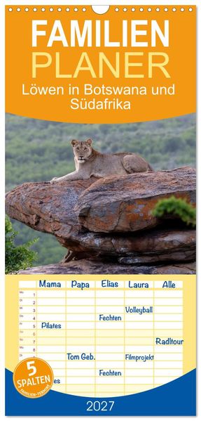 Familienplaner 2027 - Löwen in Botswana und Südafrika mit 5 Spalten (Wandkalender 21 x 45 cm) CALVENDO