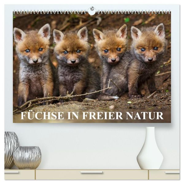 Füchse in freier Natur (hochwertiger Premium Wandkalender 2027 DIN A2 quer) Kunstdruck in Hochglanz