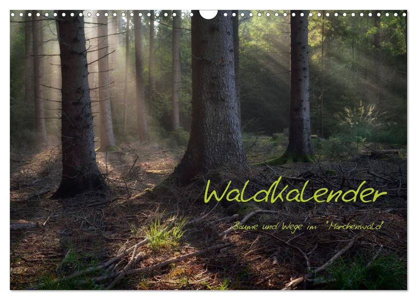 Waldkalender (Wandkalender 2027 DIN A3 quer) CALVENDO Monatskalender