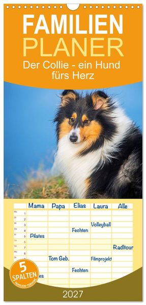Familienplaner 2027 - Der Collie - ein Hund fürs Herz mit 5 Spalten (Wandkalender 21 x 45 cm) CALVENDO
