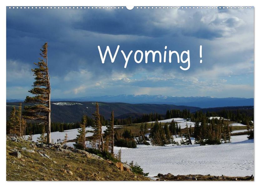 Wyoming! (Wandkalender 2027 DIN A2 quer) CALVENDO Monatskalender