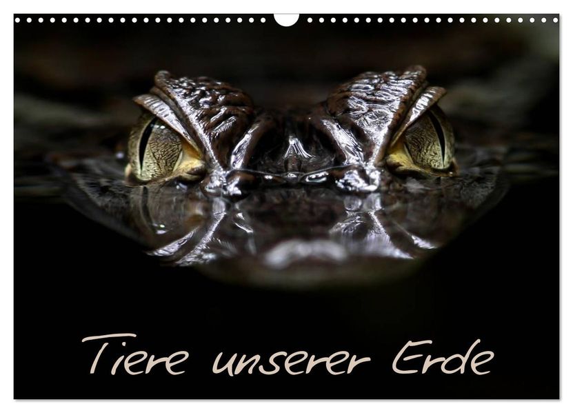 Tiere unserer Erde (Wandkalender 2027 DIN A3 quer) CALVENDO Monatskalender