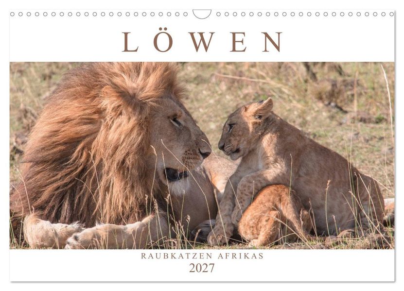 Löwen - Raubkatzen Afrikas (Wandkalender 2027 DIN A3 quer) CALVENDO Monatskalender