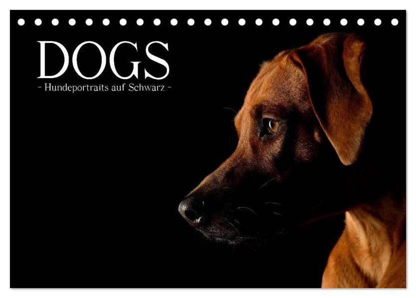 Dogs (Tischkalender 2027 DIN A5 quer) CALVENDO Monatskalender