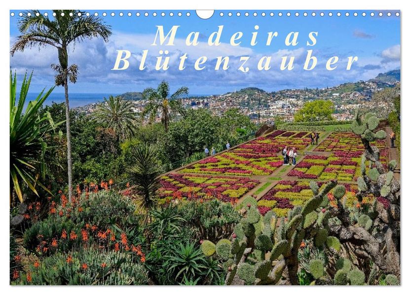 Madeiras Blütenzauber (Wandkalender 2027 DIN A3 quer) CALVENDO Monatskalender