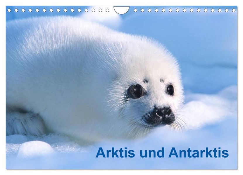 Arktis und Antarktis (Wandkalender 2027 DIN A4 quer) CALVENDO Monatskalender