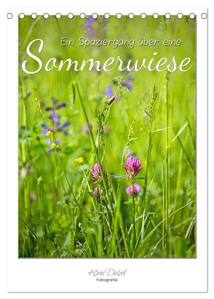 Ein Spaziergang über eine Sommerwiese (Tischkalender 2027 DIN A5 hoch) CALVENDO Monatskalender