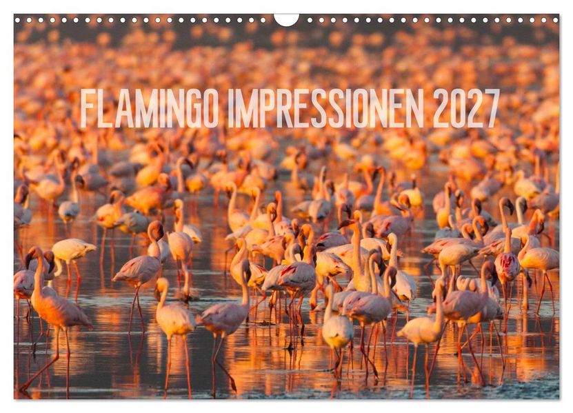 Flamingo Impressionen 2027 (Wandkalender 2027 DIN A3 quer) CALVENDO Monatskalender