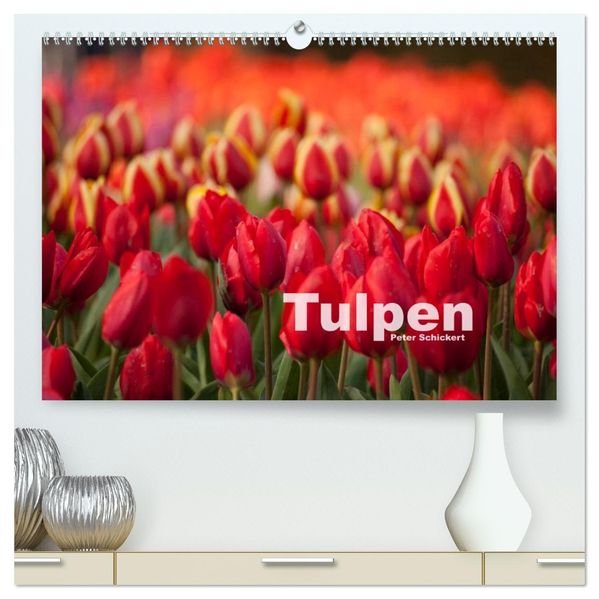 Tulpen (hochwertiger Premium Wandkalender 2027 DIN A2 quer) Kunstdruck in Hochglanz
