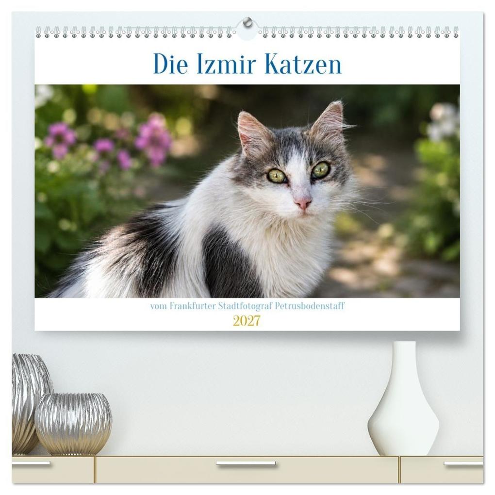 Die Izmir Katzen (hochwertiger Premium Wandkalender 2027 DIN A2 quer) Kunstdruck in Hochglanz