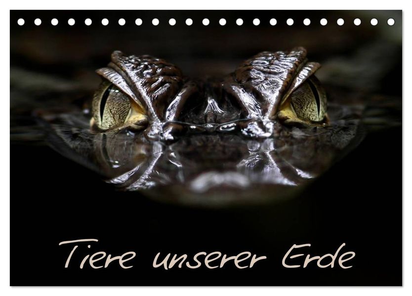 Tiere unserer Erde (Tischkalender 2027 DIN A5 quer) CALVENDO Monatskalender