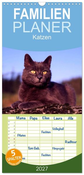 Familienplaner 2027 - Katzen mit 5 Spalten (Wandkalender 21 x 45 cm) CALVENDO