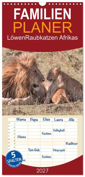 Familienplaner 2027 - Löwen - Raubkatzen Afrikas mit 5 Spalten (Wandkalender 21 x 45 cm) CALVENDO