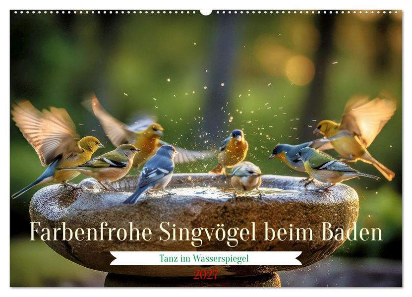 Farbenfrohe Singvögel beim Baden (Wandkalender 2027 DIN A2 quer) CALVENDO Monatskalender