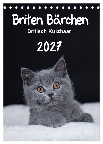 Briten Bärchen - Britisch Kurzhaar 2027 (Tischkalender 2027 DIN A5 hoch) CALVENDO Monatskalender