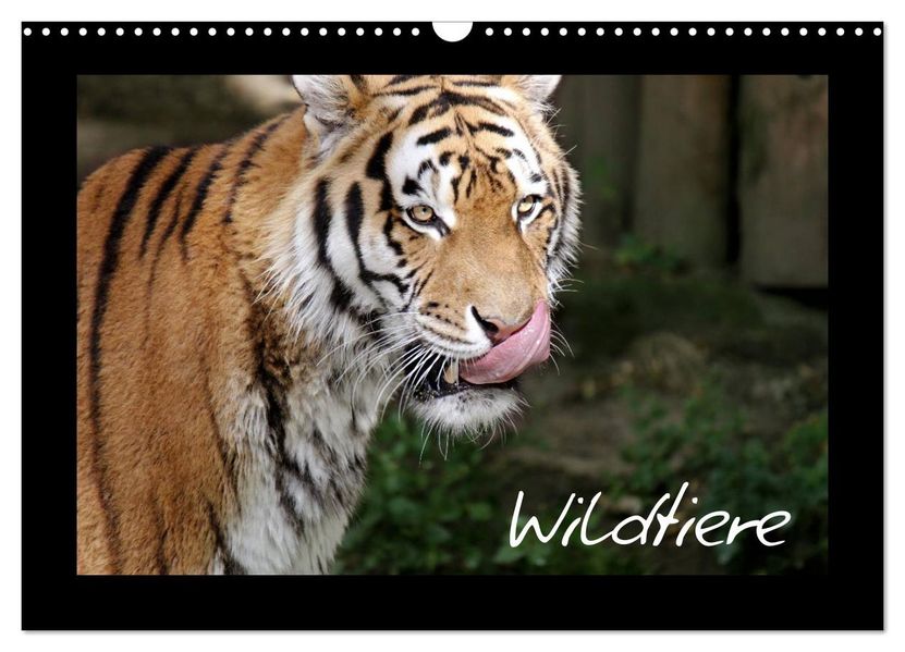 Wildtiere (Wandkalender 2027 DIN A3 quer) CALVENDO Monatskalender