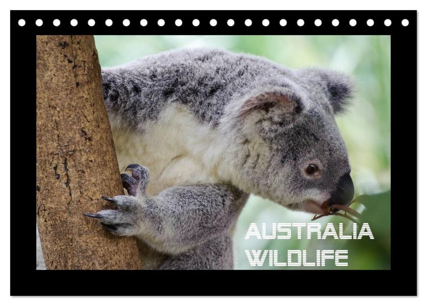 Australia Wildlife (Tischkalender 2027 DIN A5 quer) CALVENDO Monatskalender