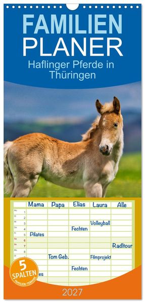 Familienplaner 2027 - Haflinger Pferde in Thüringen mit 5 Spalten (Wandkalender 21 x 45 cm) CALVENDO