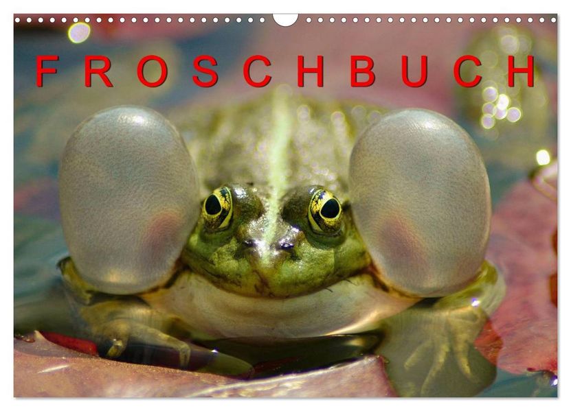 FROSCHBUCH (Wandkalender 2027 DIN A3 quer) CALVENDO Monatskalender