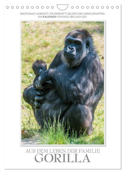 Emotionale Momente: Aus dem Leben der Familie Gorilla. (Wandkalender 2027 DIN A4 hoch) CALVENDO Monatskalender