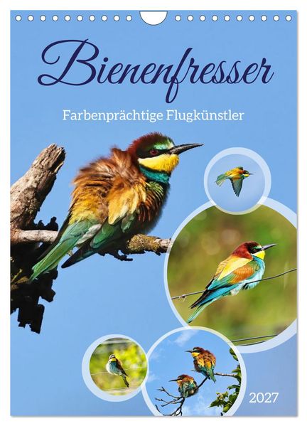 Bienenfresser farbenprächtige Flugkünstler (Wandkalender 2027 DIN A4 hoch) CALVENDO Monatskalender