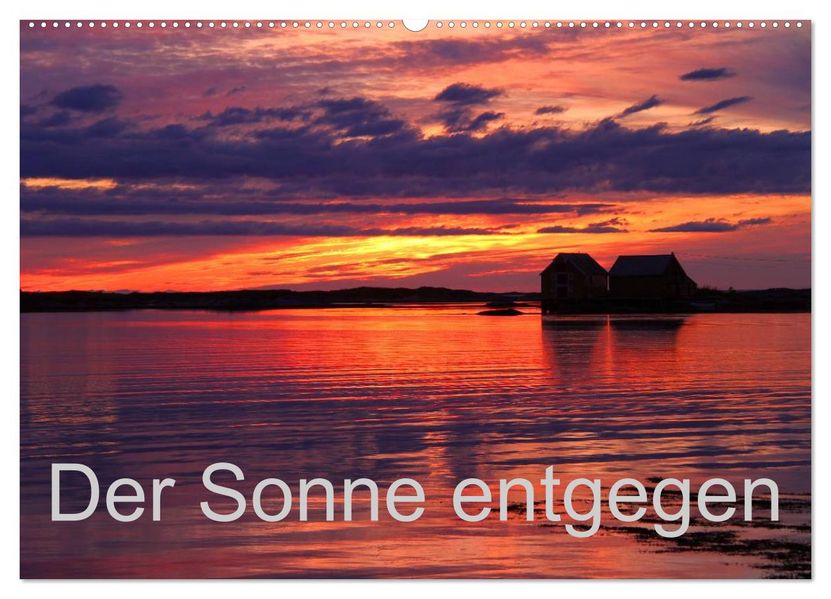 Der Sonne entgegen (Wandkalender 2027 DIN A2 quer) CALVENDO Monatskalender