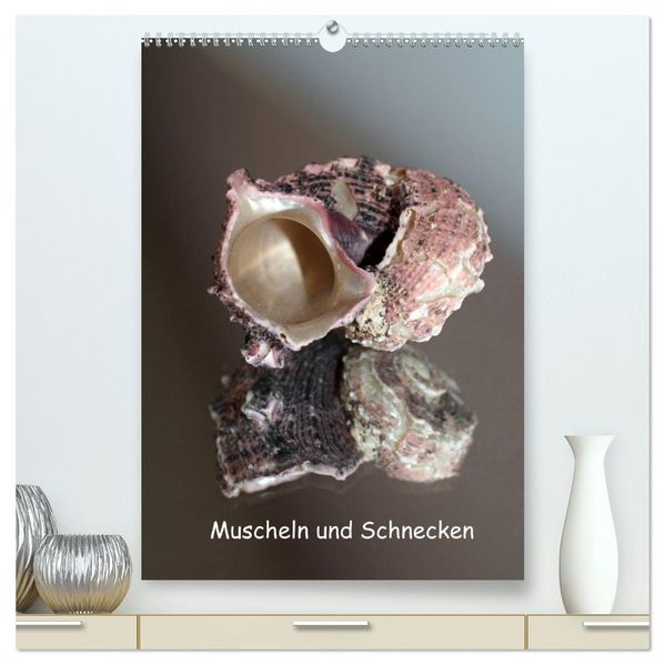 Muscheln und Schnecken (hochwertiger Premium Wandkalender 2027 DIN A2 hoch) Kunstdruck in Hochglanz