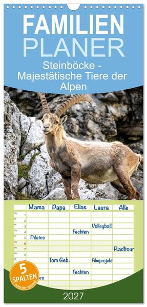 Familienplaner 2027 - Steinböcke - Majestätische Tiere der Alpen mit 5 Spalten (Wandkalender 21 x 45 cm) CALVENDO
