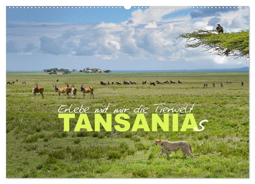 Erlebe mit mir die Tierwelt Tansanias (Wandkalender 2027 DIN A2 quer) CALVENDO Monatskalender