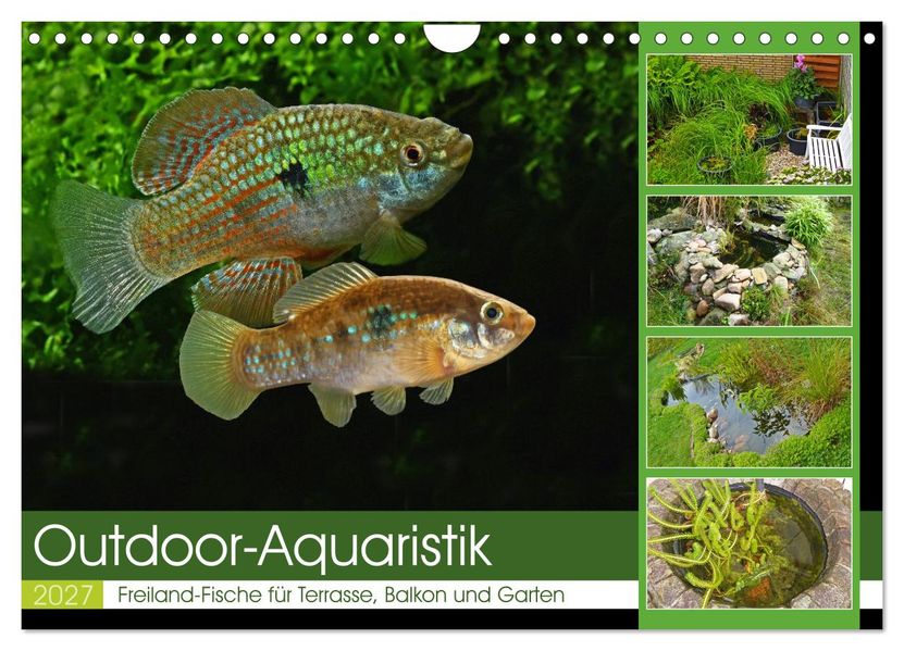 Outdoor-Aquaristik (Wandkalender 2027 DIN A4 quer) CALVENDO Monatskalender