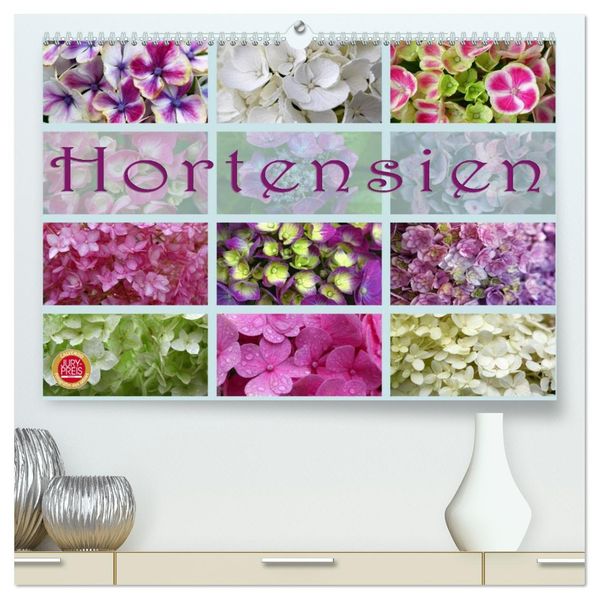 Hortensien / Geburtstagskalender (hochwertiger Premium Wandkalender 2027 DIN A2 quer) Kunstdruck in Hochglanz