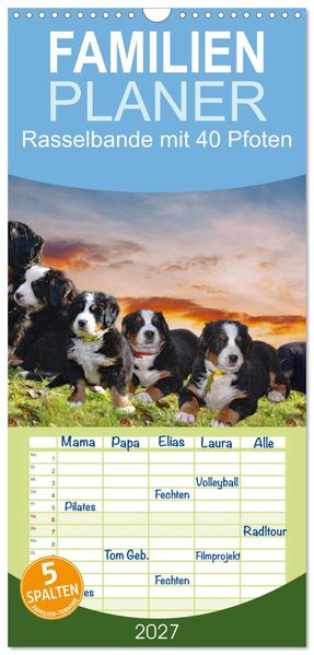 Familienplaner 2027 - Rasselbande mit 40 Pfoten mit 5 Spalten (Wandkalender 21 x 45 cm) CALVENDO