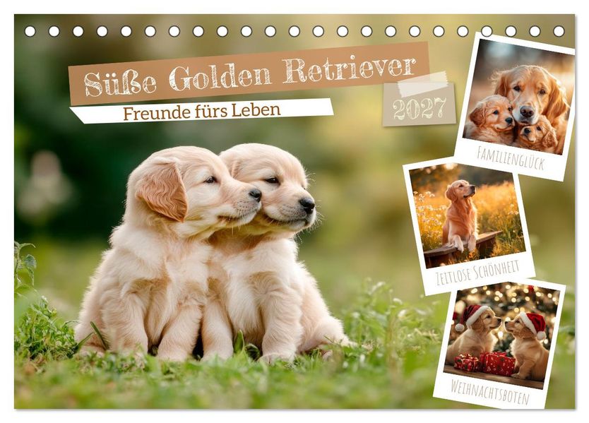 Süße Golden Retriever - Freunde fürs Leben (Tischkalender 2027 DIN A5 quer) CALVENDO Monatskalender