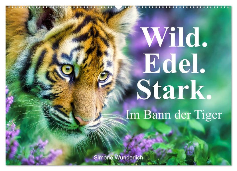 Wild.Edel.Stark. - Im Bann der Tiger (Wandkalender 2027 DIN A2 quer) CALVENDO Monatskalender