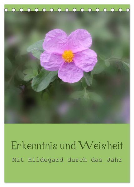 Erkenntnis und Weisheit - Hildegard von Bingen (Tischkalender 2027 DIN A5 hoch) CALVENDO Monatskalender