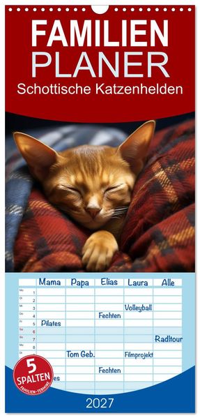Familienplaner 2027 - Schottische Katzenhelden mit 5 Spalten (Wandkalender 21 x 45 cm) CALVENDO