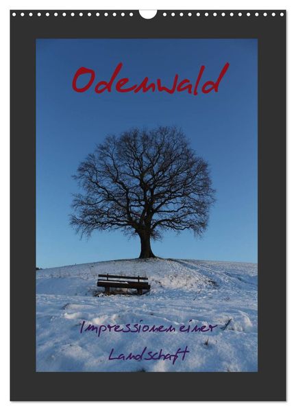 Odenwald - Impressionen einer Landschaft (Wandkalender 2027 DIN A3 hoch) CALVENDO Monatskalender