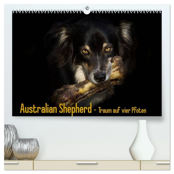 Australian Shepherd - Traum auf vier Pfoten (hochwertiger Premium Wandkalender 2027 DIN A2 quer) Kunstdruck in Hochglanz