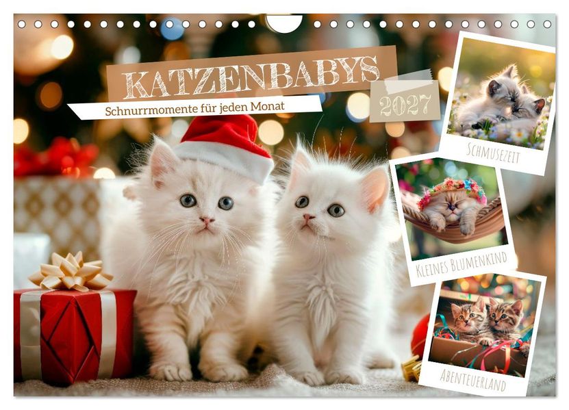Katzenbabys - Schnurrmomente für jeden Monat (Wandkalender 2027 DIN A4 quer) CALVENDO Monatskalender